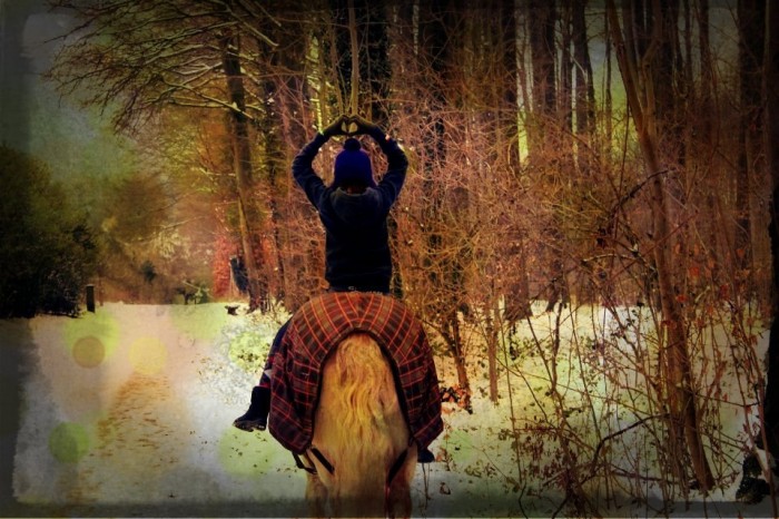 Photo de profil de greenpony