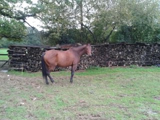 Photo de profil de quickanie