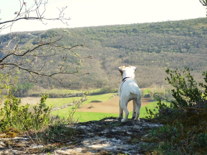 Photo de profil de petitbatosurlo