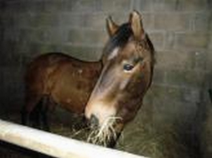 Photo de profil de akyko