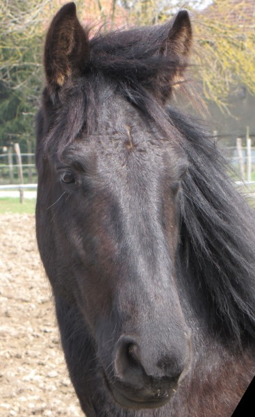 Photo de profil de bakant