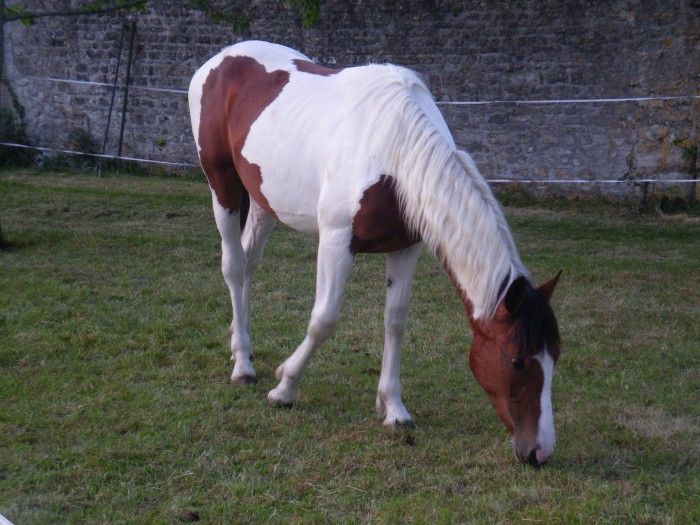 Photo de profil de muguet2009