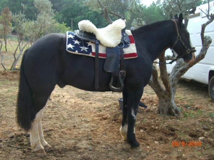 Photo de profil de munoz13780