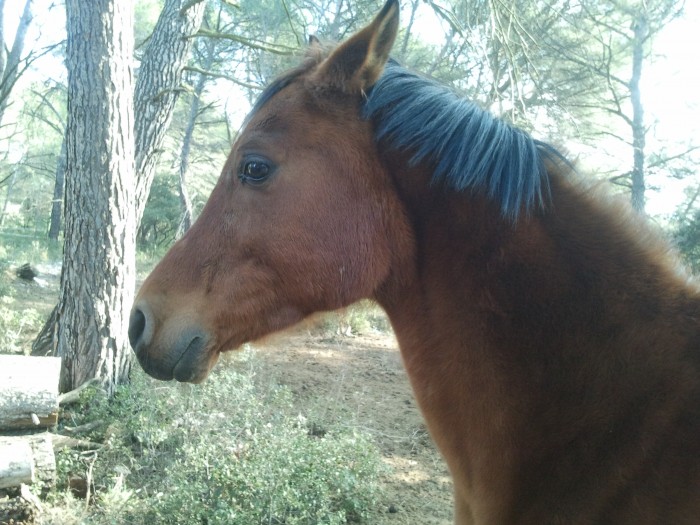 Photo de profil de lulu.13