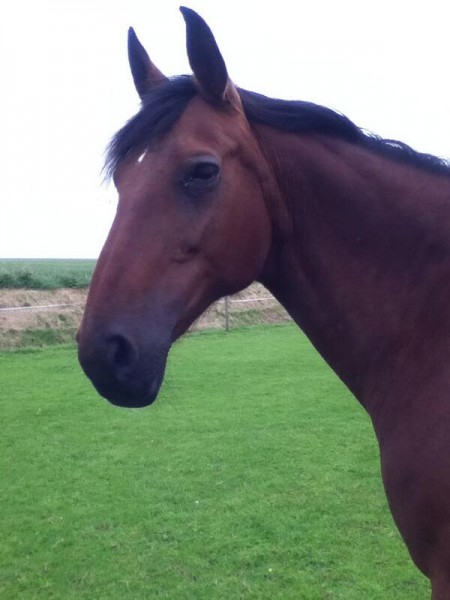 Photo de profil de lelaaddict