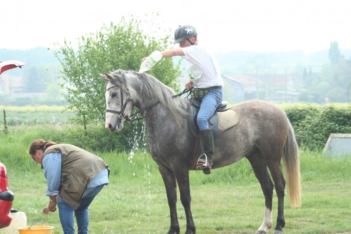 Photo de profil de stlm