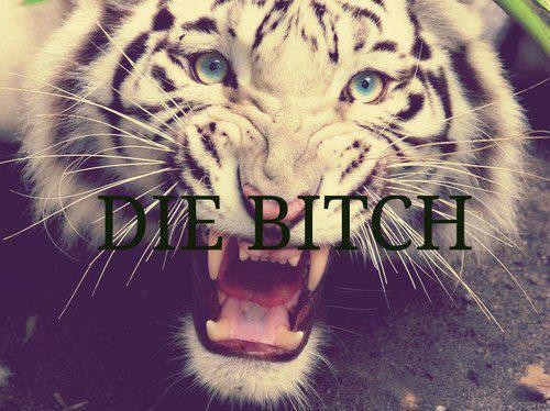 Photo de profil de linterne065