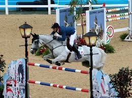 Photo de profil de chevaloponey