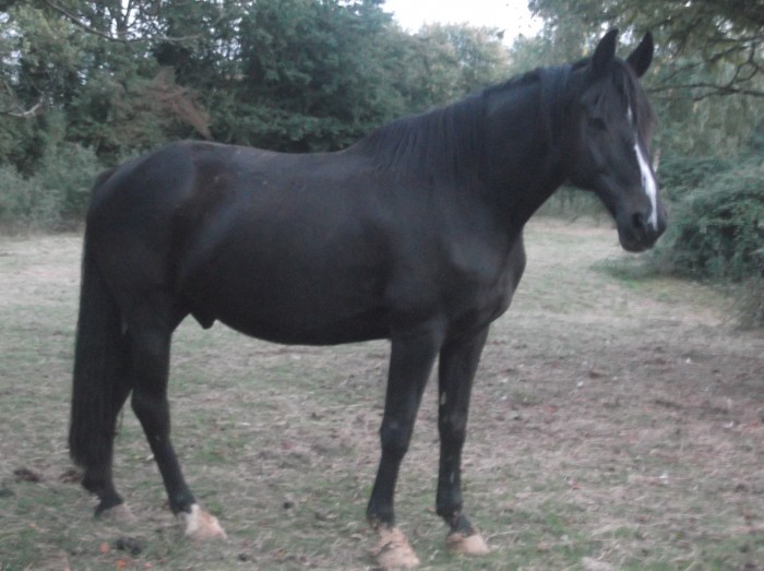 Photo de profil de inkadu18