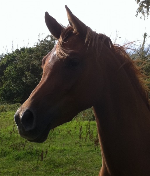 Photo de profil de izzie