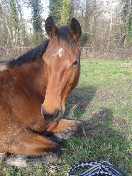 Photo de profil de nounba