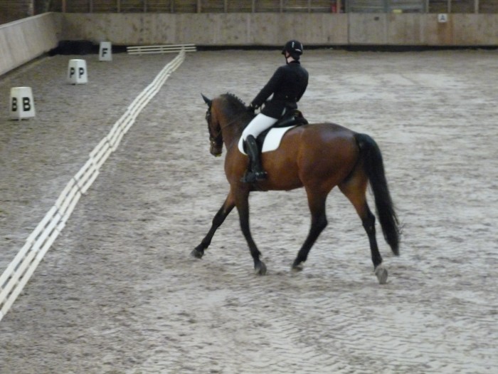 Photo de profil de ame67