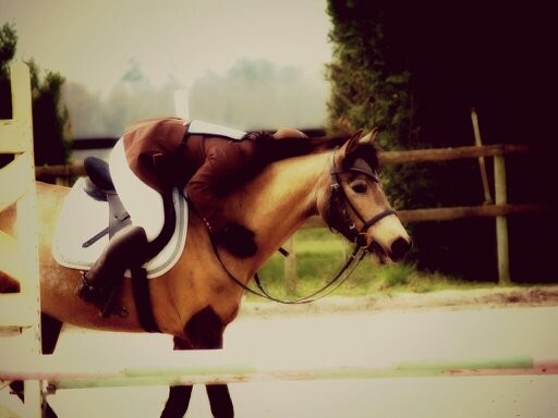 Photo de profil de passionofdream