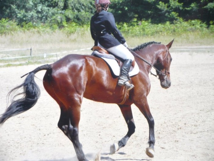 Photo de profil de phocea78