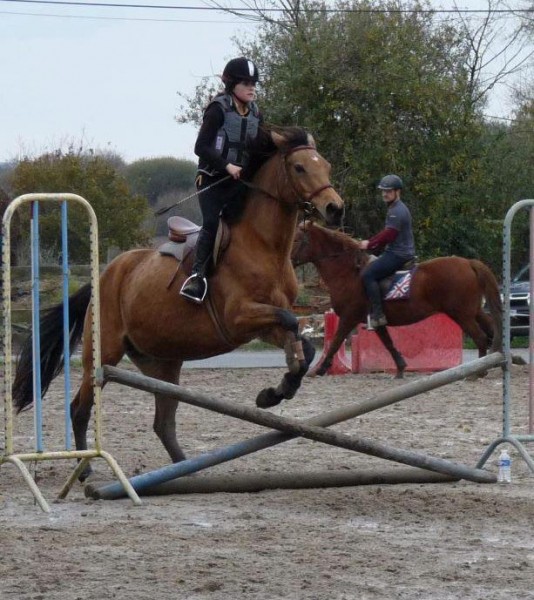 Photo de profil de sabra