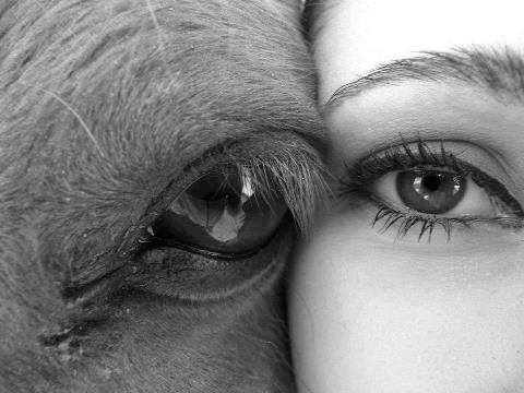 Photo de profil de marierando