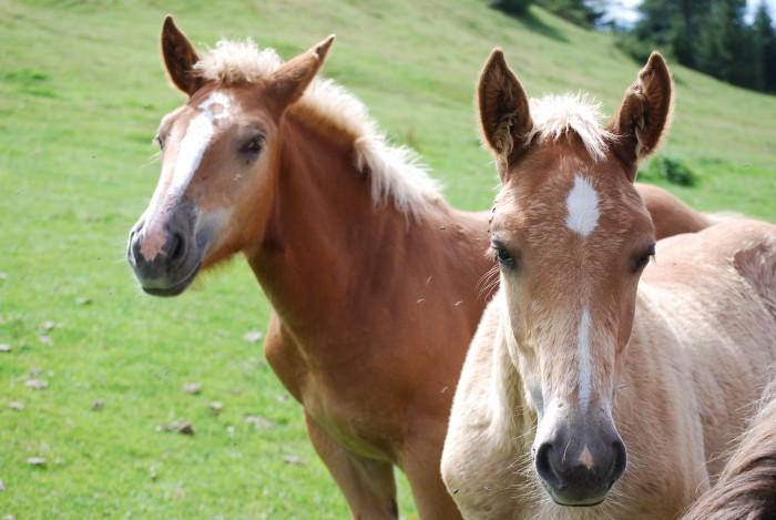 Photo de profil de tamise28