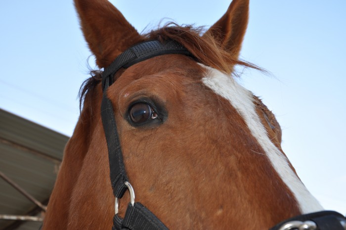 Photo de profil de mcdubrulle