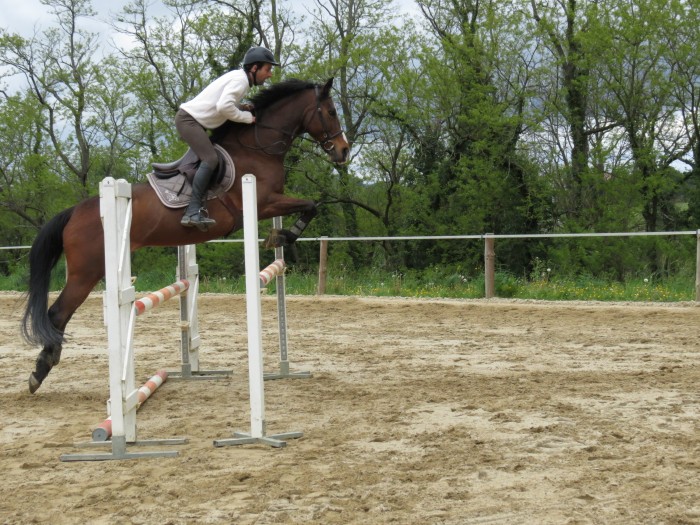 Photo de profil de americain