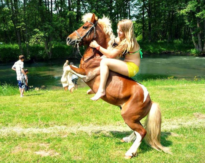 Photo de profil de ulexadele