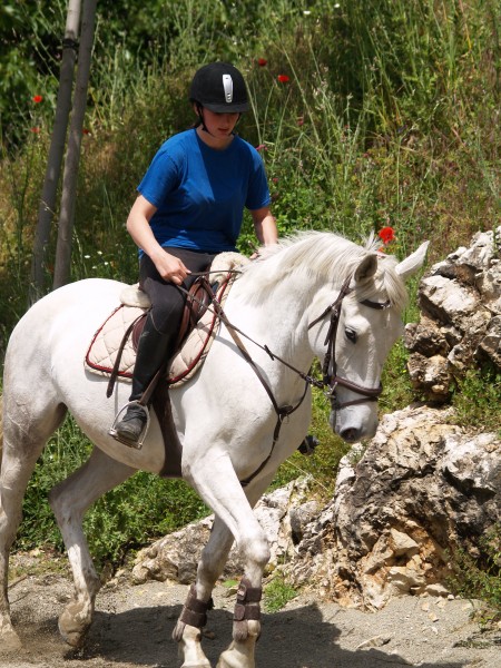 Photo de profil de lucieecume06