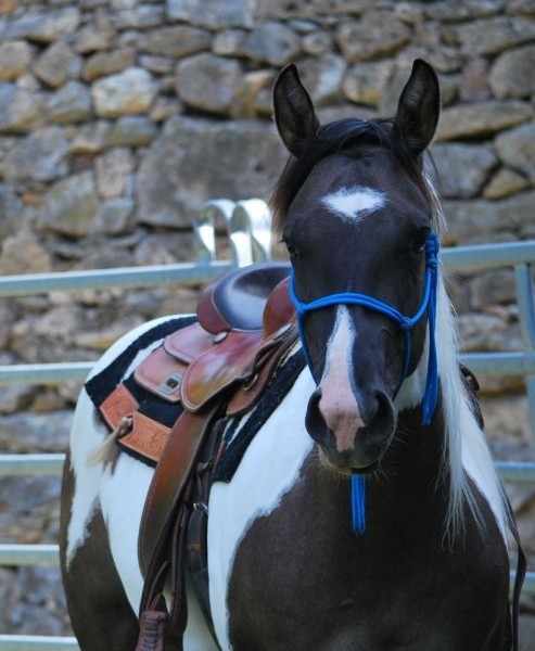 Photo de profil de emelila