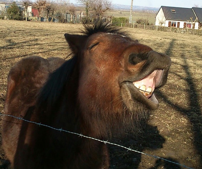 Photo de profil de bouboune12