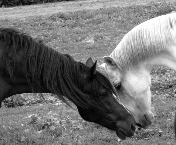 Photo de profil de vicgiz