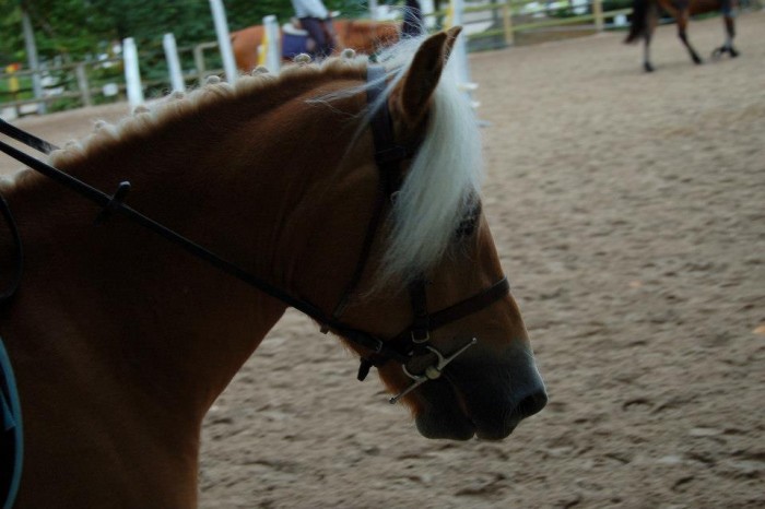 Photo de profil de chaano