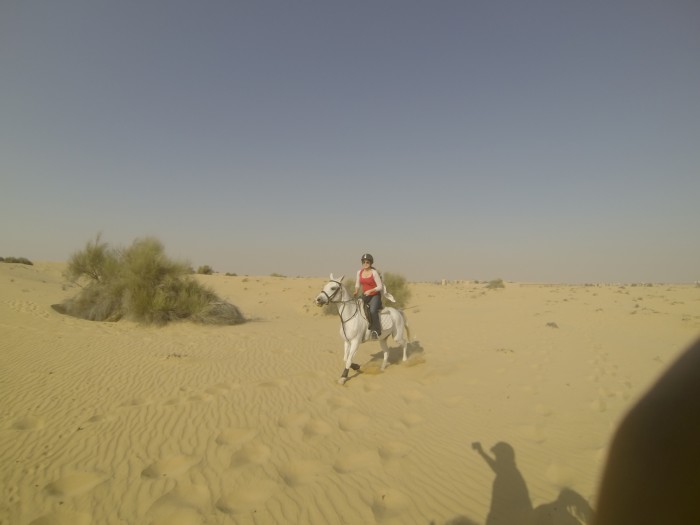 Photo de profil de skycat007