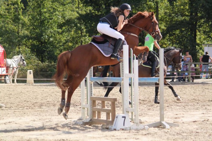 Photo de profil de conseilsselles