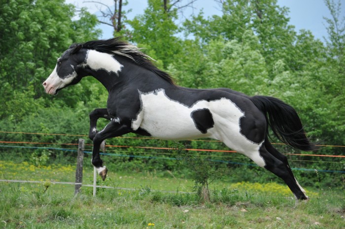 Photo de profil de shiva73