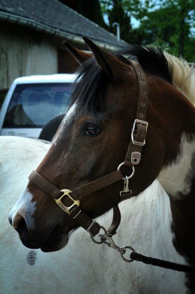Photo de profil de tylann