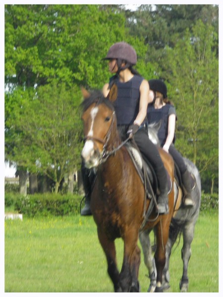 Photo de profil de sarahr