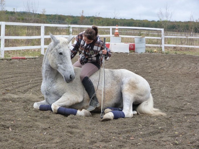 Photo de profil de ophelieqac