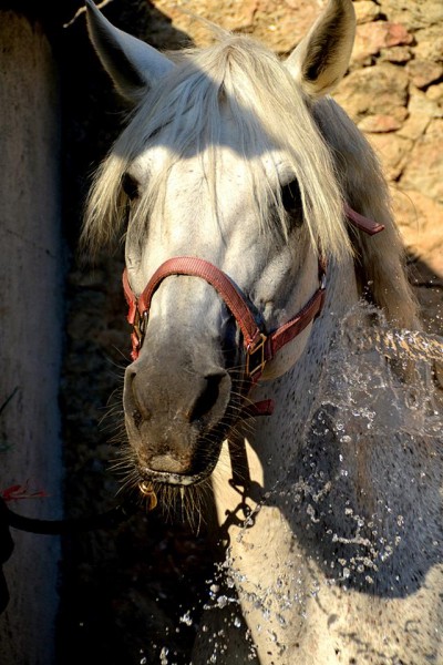 Photo de profil de oxygene83