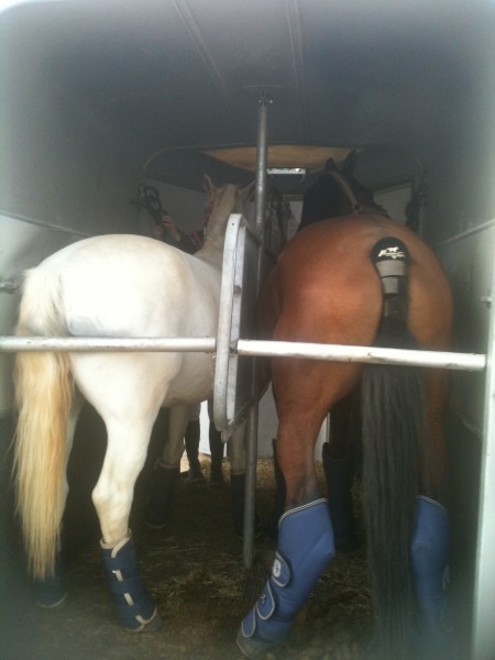 Photo de profil de timmatet