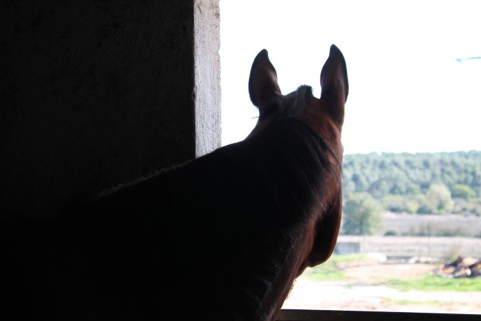 Photo de profil de arteas