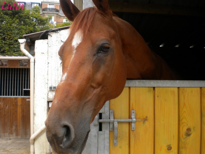 Photo de profil de papi60