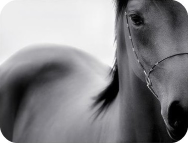 Photo de profil de aureboy