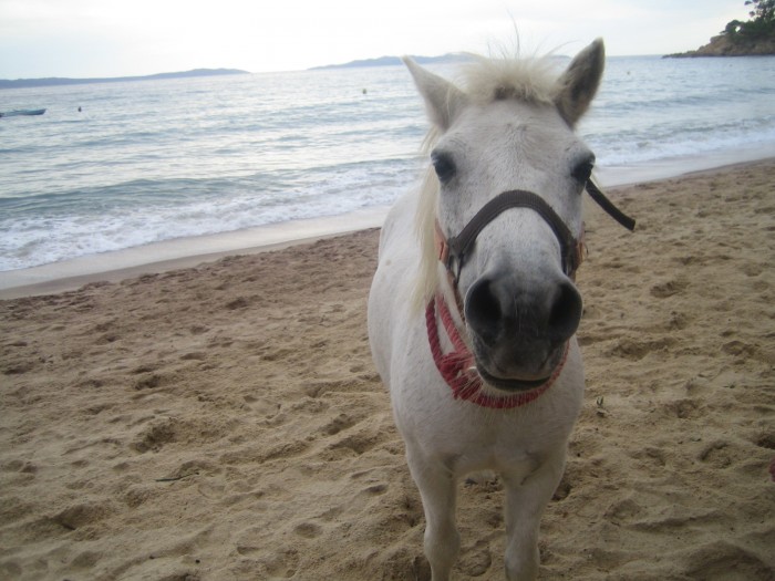 Photo de profil de marionxb