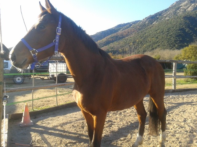 Photo de profil de ergo