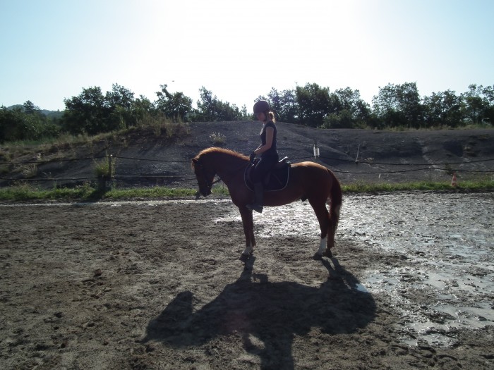 Photo de profil de fanny409