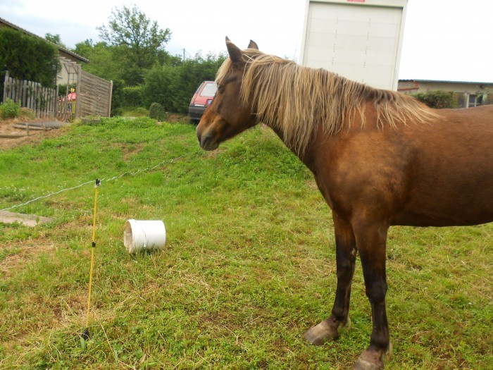 Photo de profil de nellypx