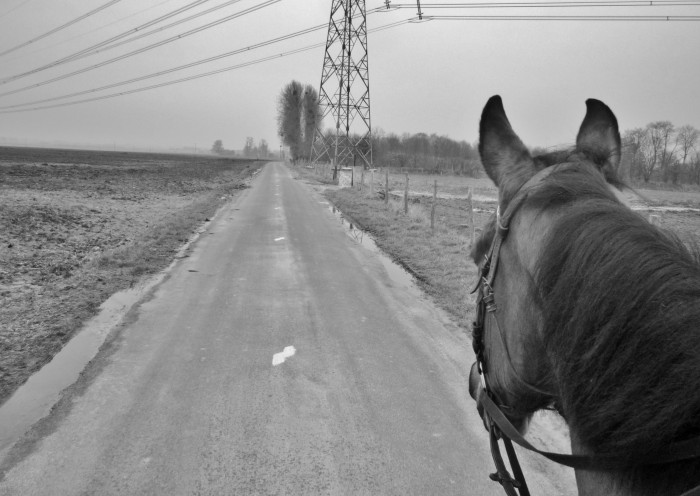 Photo de profil de lajudu76