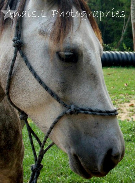 Photo de profil de ananasjoy