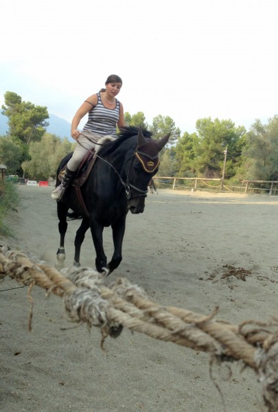 Photo de profil de pinkflower