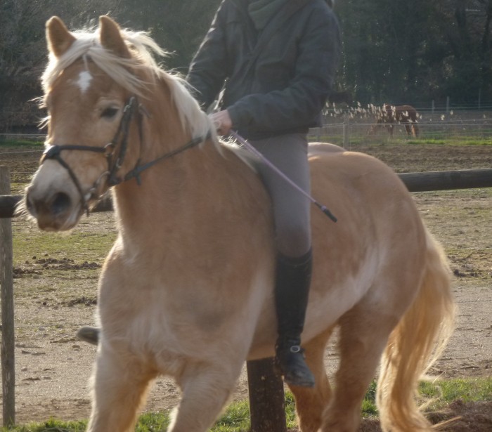 Photo de profil de estelle07