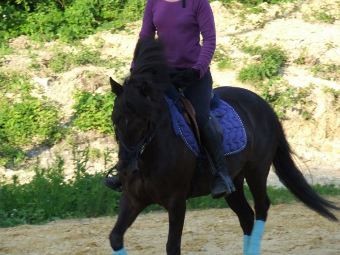 Photo de profil de idalo