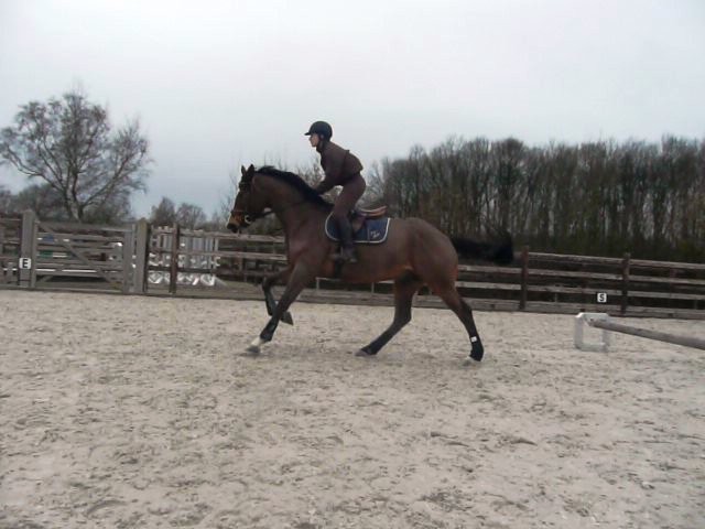 Photo de profil de harashengl